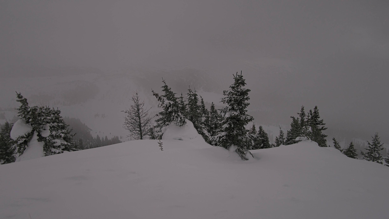 Webcam Banff Sunshine Village: Standish Viewing Deck