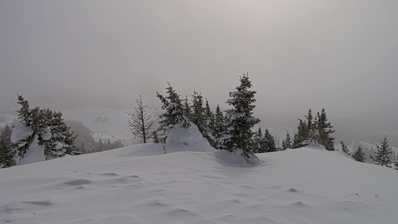 Webcam Banff Sunshine Village: Standish Viewing Deck