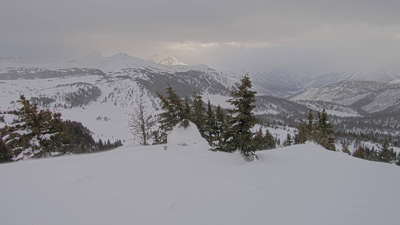 Webcam Banff Sunshine Village: Standish Viewing Deck