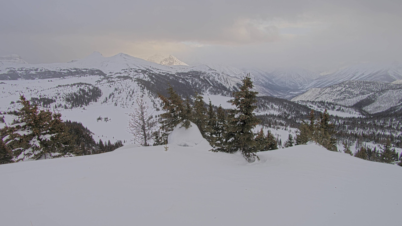 Webcam Banff Sunshine Village: Standish Viewing Deck