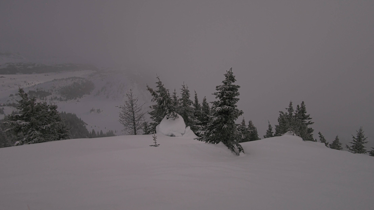 Webcam Banff Sunshine Village: Standish Viewing Deck