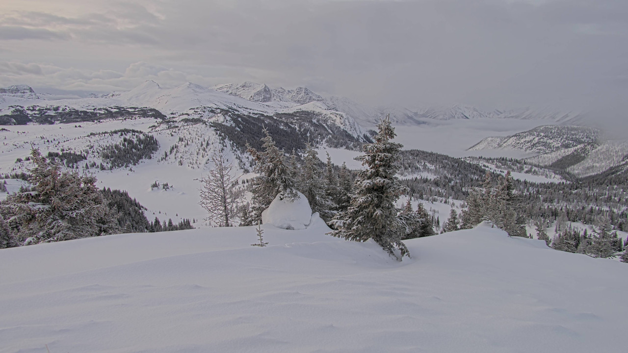 Webcam Banff Sunshine Village: Standish Viewing Deck