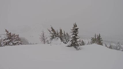 Banff Sunshine Village: Standish Viewing Deck (skibanff.com)
