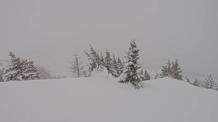 Banff Sunshine Village: Standish Viewing Deck (skibanff.com)