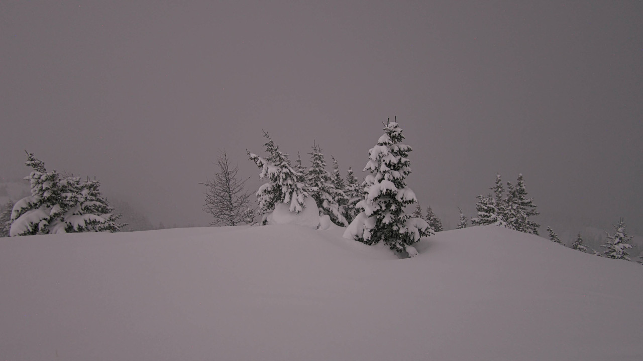 Webcam Banff Sunshine Village: Standish Viewing Deck