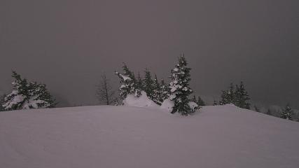 Banff Sunshine Village: Standish Viewing Deck (skibanff.com)
