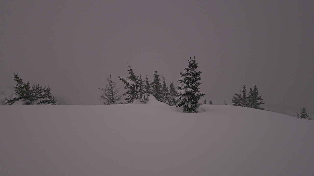 Webcam Banff Sunshine Village: Standish Viewing Deck