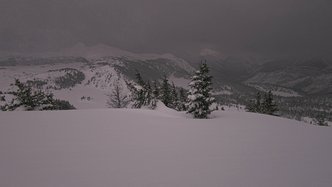 Webcam Banff Sunshine Village: Standish Viewing Deck