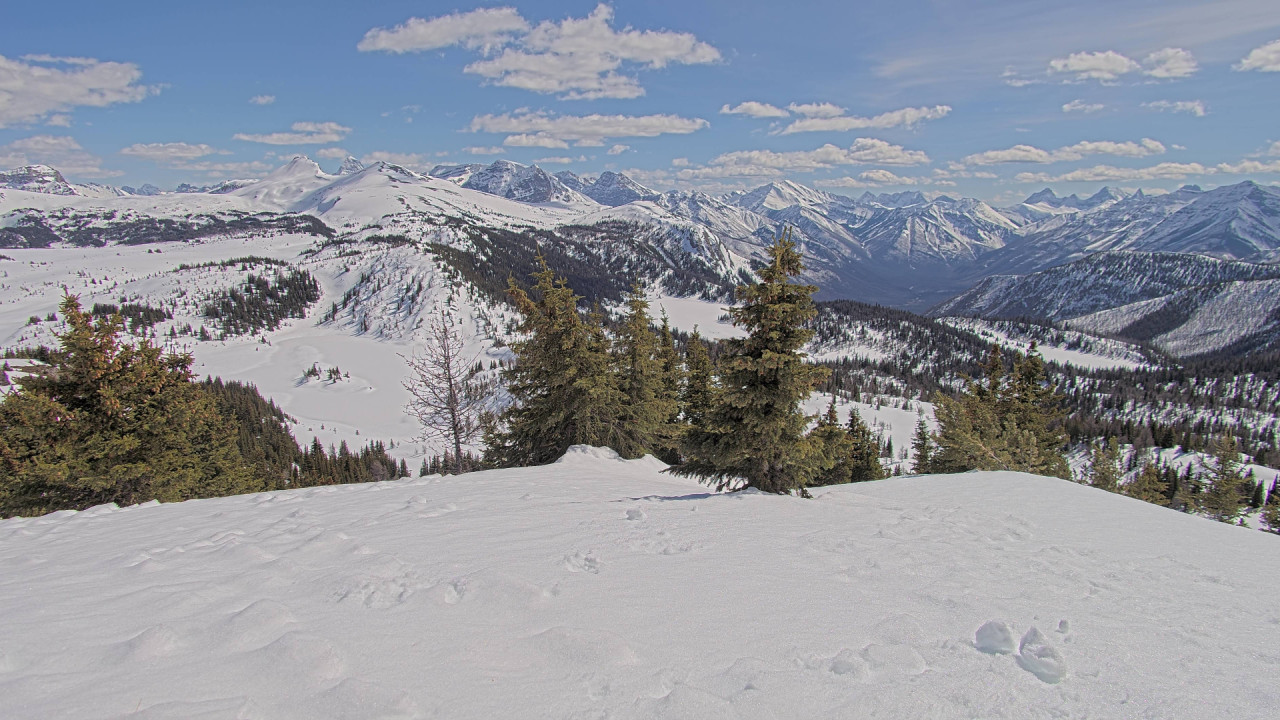 Webcam Banff Sunshine Village: Standish Viewing Deck
