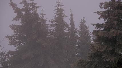Banff Sunshine Village: Standish Viewing Deck (skibanff.com)