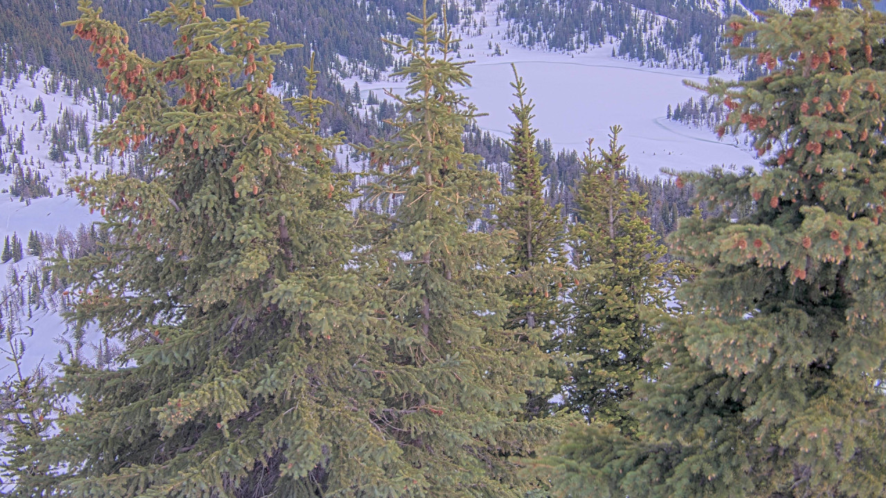 Webcam Banff Sunshine Village: Standish Viewing Deck