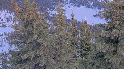 Banff Sunshine Village: Standish Viewing Deck (skibanff.com)