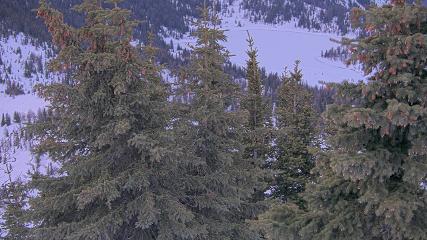 Banff Sunshine Village: Standish Viewing Deck (skibanff.com)