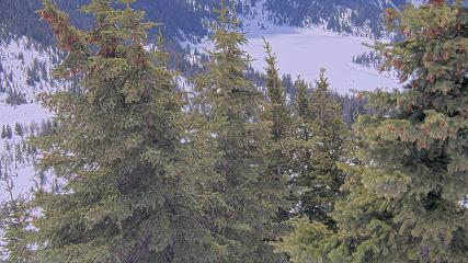Banff Sunshine Village: Standish Viewing Deck (skibanff.com)