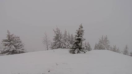Banff Sunshine Village: Standish Viewing Deck (skibanff.com)