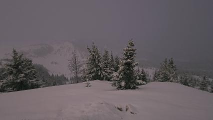Banff Sunshine Village: Standish Viewing Deck (skibanff.com)