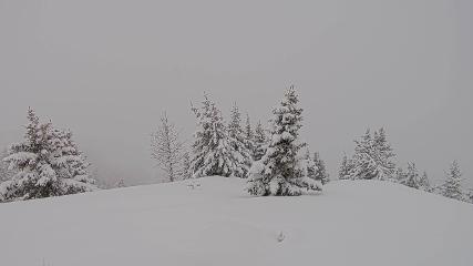Banff Sunshine Village: Standish Viewing Deck (skibanff.com)