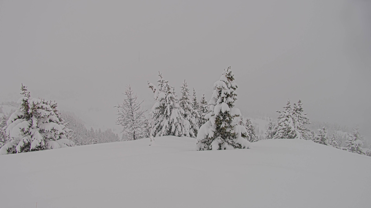 Webcam Banff Sunshine Village: Standish Viewing Deck