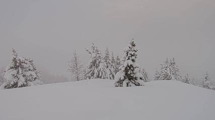 Banff Sunshine Village: Standish Viewing Deck (skibanff.com)