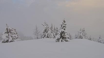 Banff Sunshine Village webcam