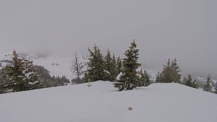 Banff Sunshine Village: Standish Viewing Deck (skibanff.com)