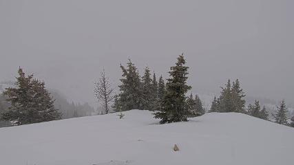 Banff Sunshine Village: Standish Viewing Deck (skibanff.com)