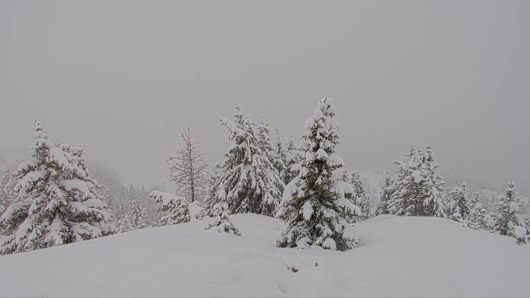 Webcam Banff Sunshine Village: Standish Viewing Deck