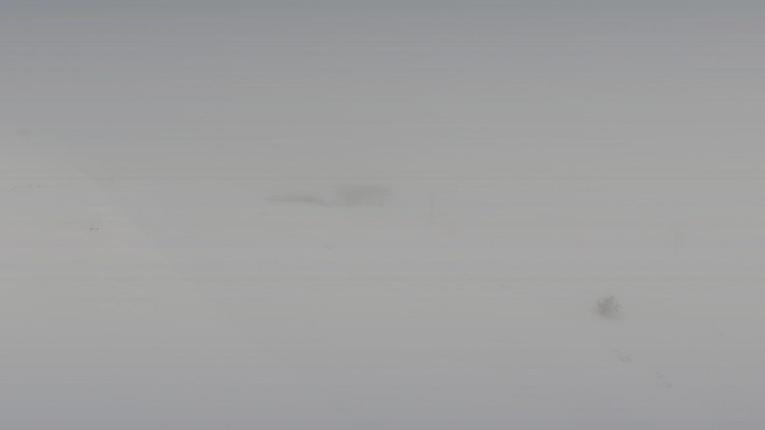 Webcam Baqueira Beret: Blanhiblar