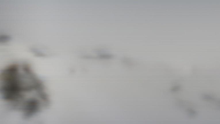 Webcam Baqueira Beret: Blanhiblar