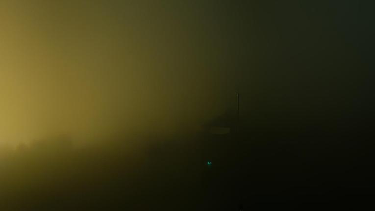 Webcam Baqueira Beret: Bosque