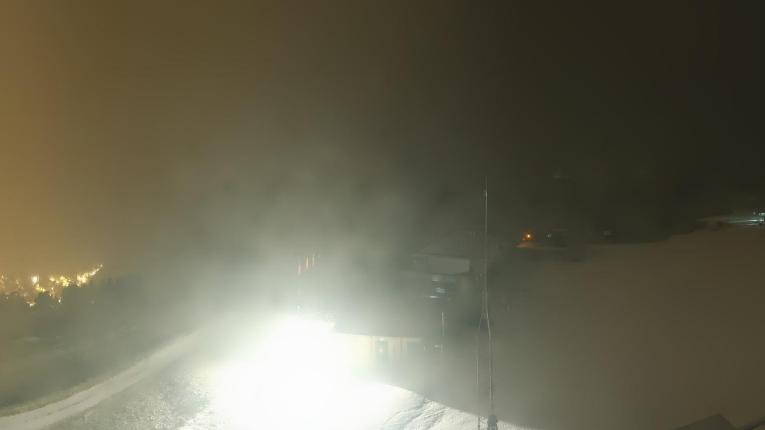 Webcam Baqueira Beret: Bosque