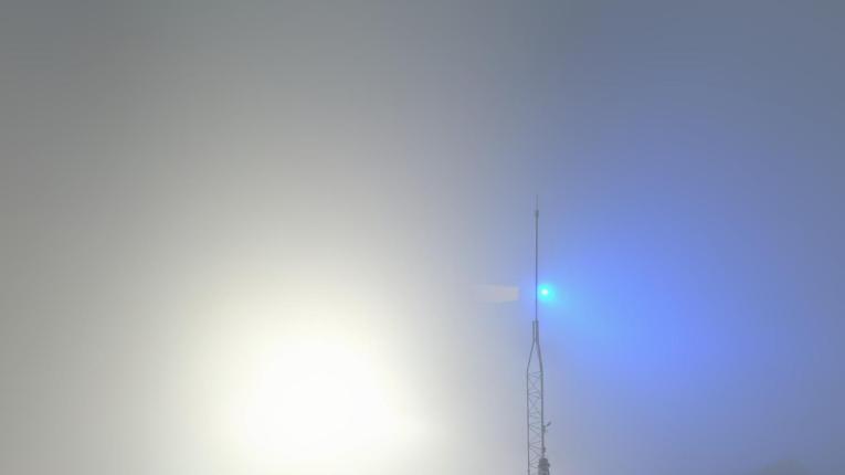 Webcam Baqueira Beret: Bosque