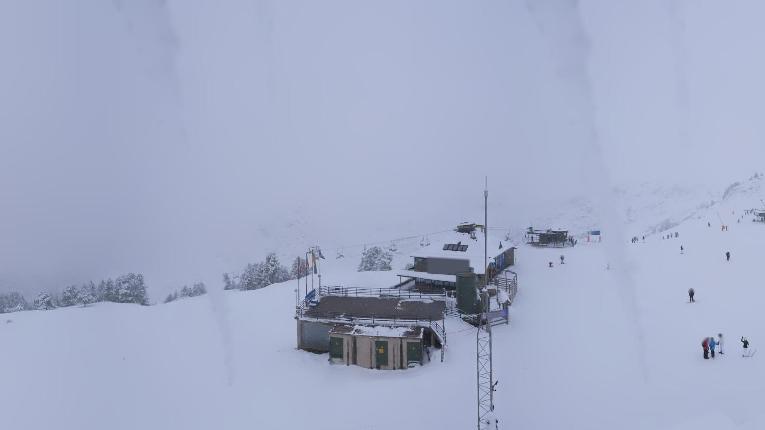 Webcam Baqueira Beret: Bosque