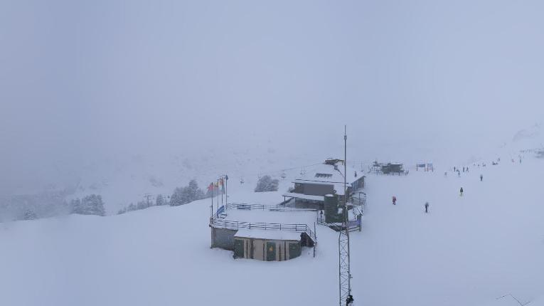 Webcam Baqueira Beret: Bosque