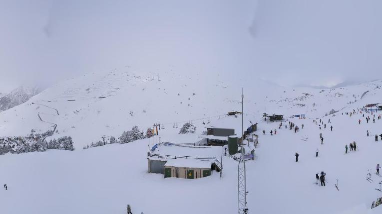 Webcam Baqueira Beret: Bosque
