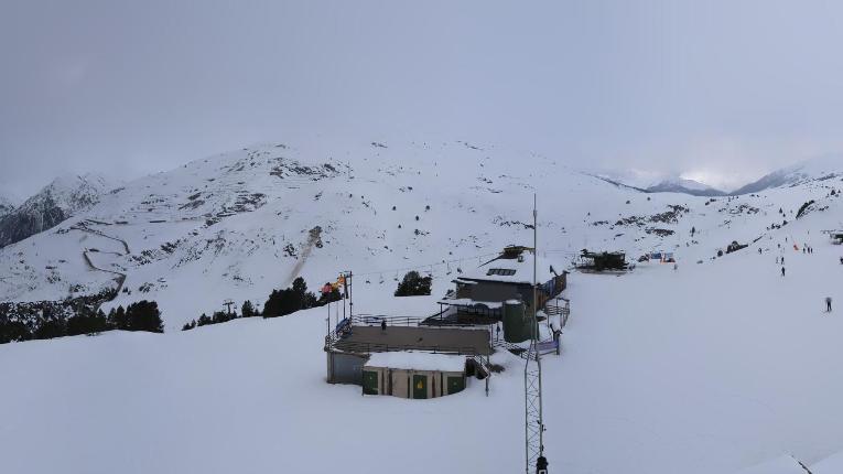 Webcam Baqueira Beret: Bosque