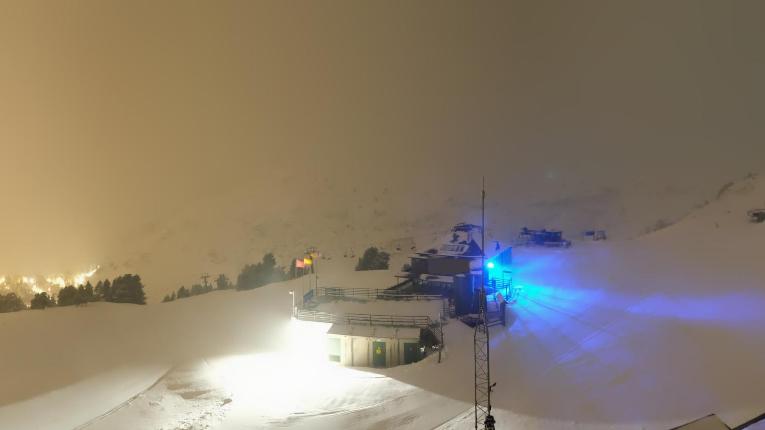 Webcam Baqueira Beret: Bosque