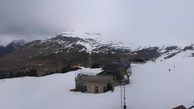 Webcam Baqueira Beret: Bosque