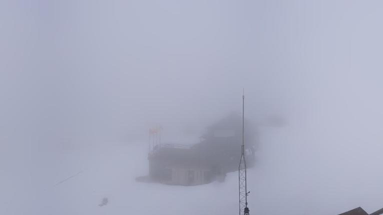 Webcam Baqueira Beret: Bosque