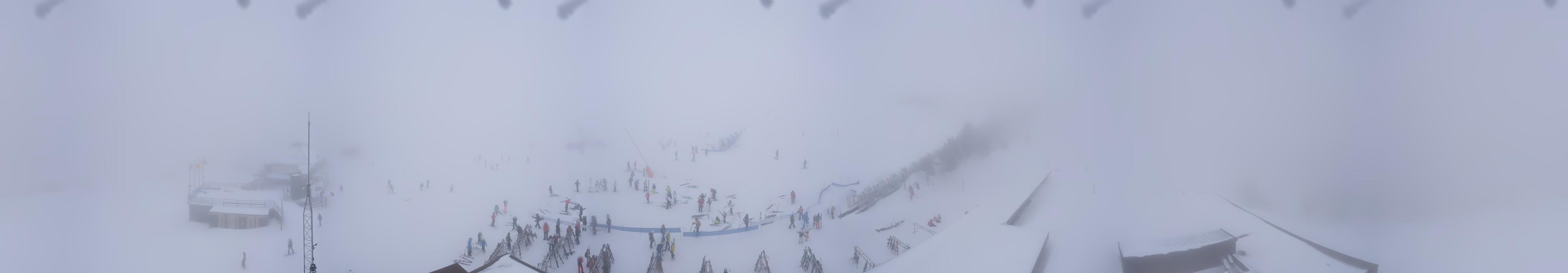 Webcam Baqueira Beret: Bosque