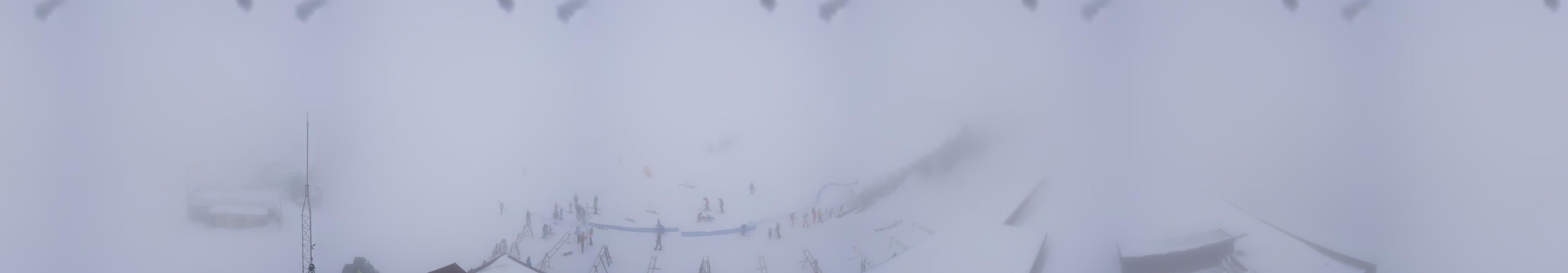 Webcam Baqueira Beret: Bosque