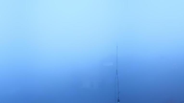 Webcam Baqueira Beret: Bosque