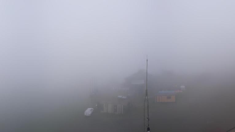 Webcam Baqueira Beret: Bosque