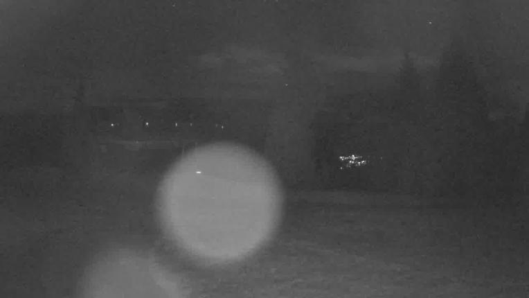 Webcam Beaver Creek: Mccoy Park