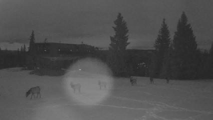 Beaver Creek: Mccoy Park (beavercreek.com)