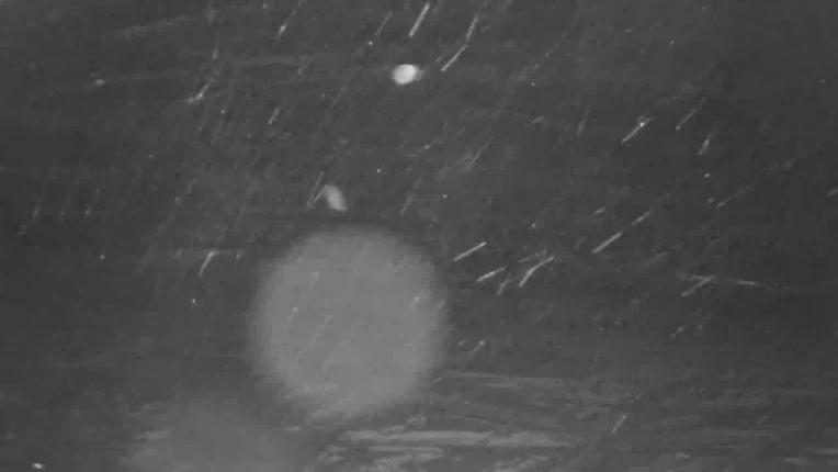 Webcam Beaver Creek: Mccoy Park