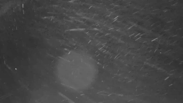 Webcam Beaver Creek: Mccoy Park