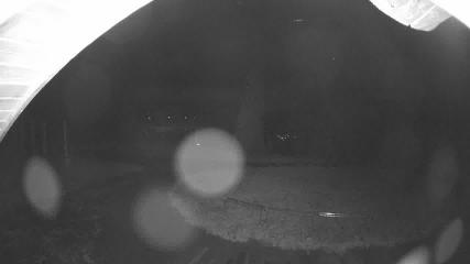 Beaver Creek webcam