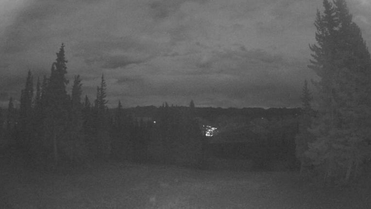 Webcam Beaver Creek: Red buffalo park