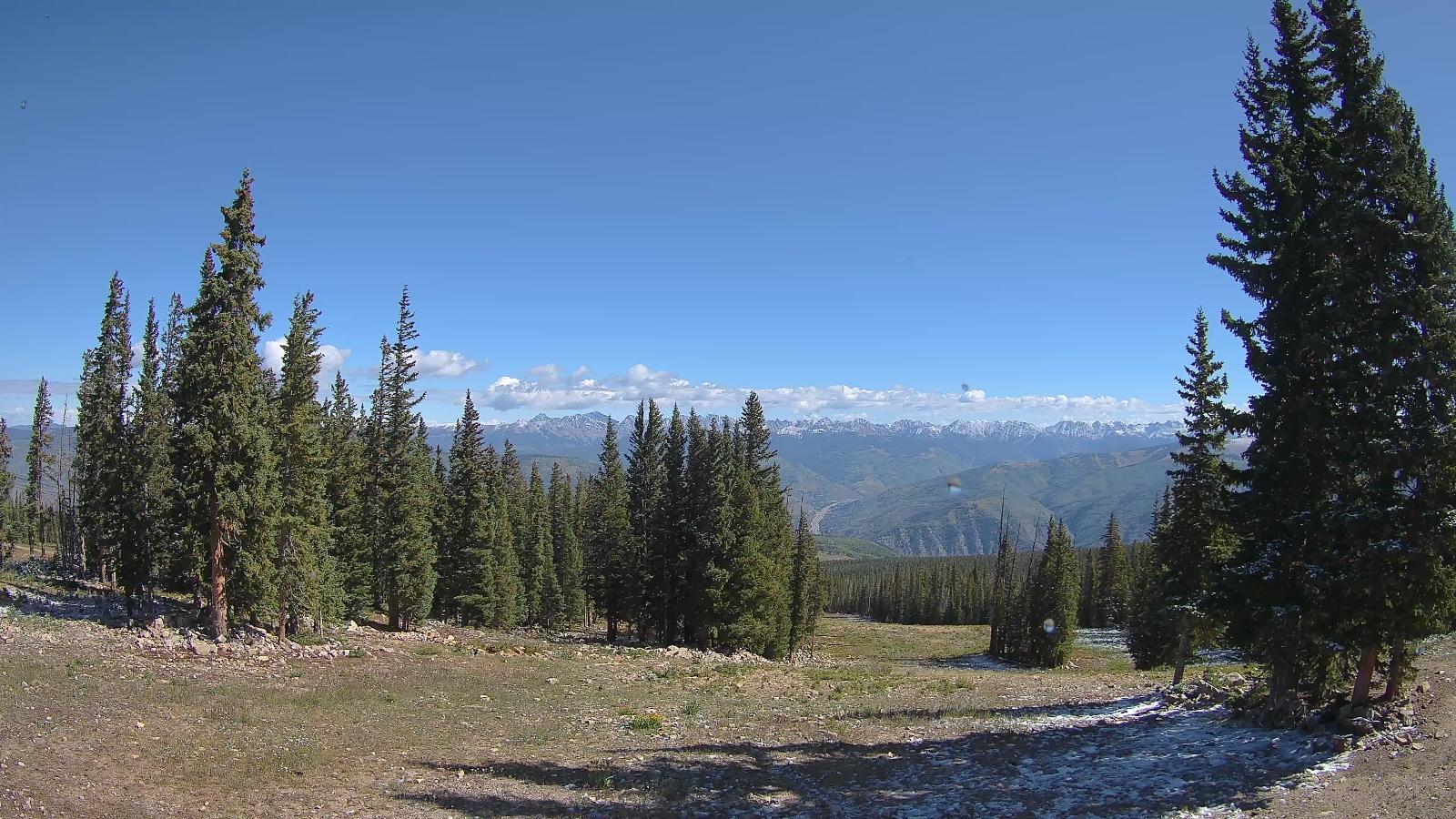Webcam Beaver Creek: Red buffalo park